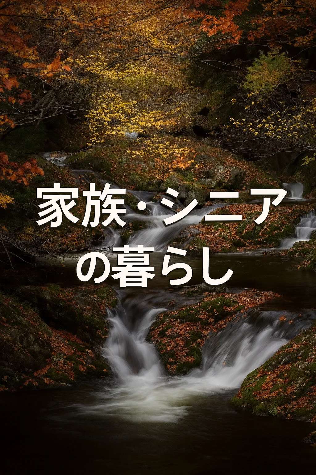 家族・シニア