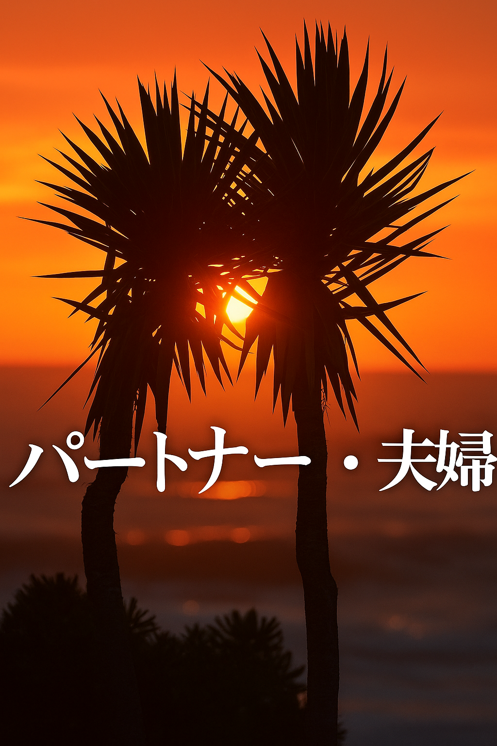 パートナー・夫婦
